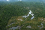 survol Great bear Rainforest 0006 1687