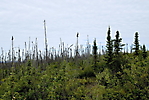 Eagle Plains à Kondile Highway_115